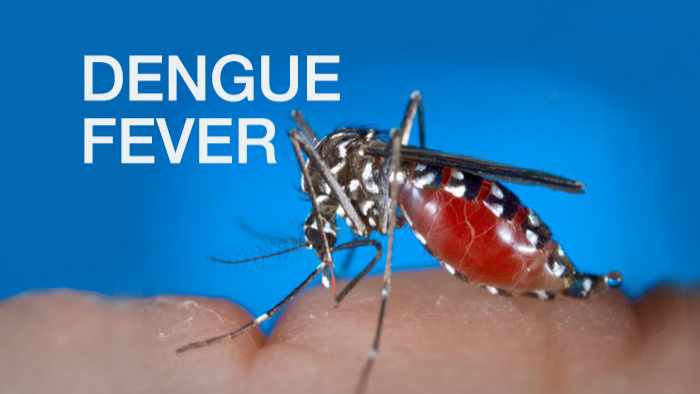 What Is Dengue Fever?