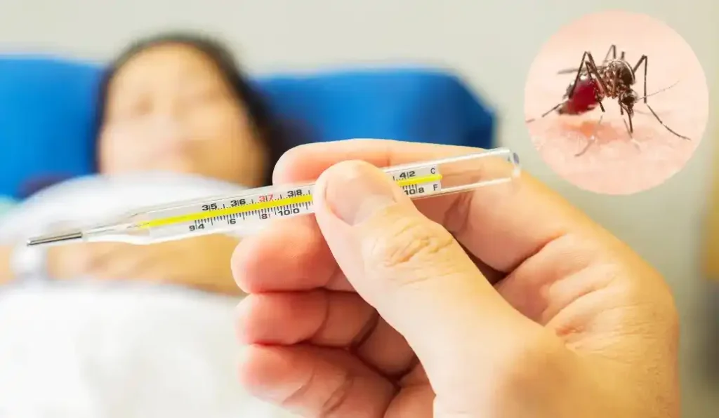 Causes of Dengue Fever