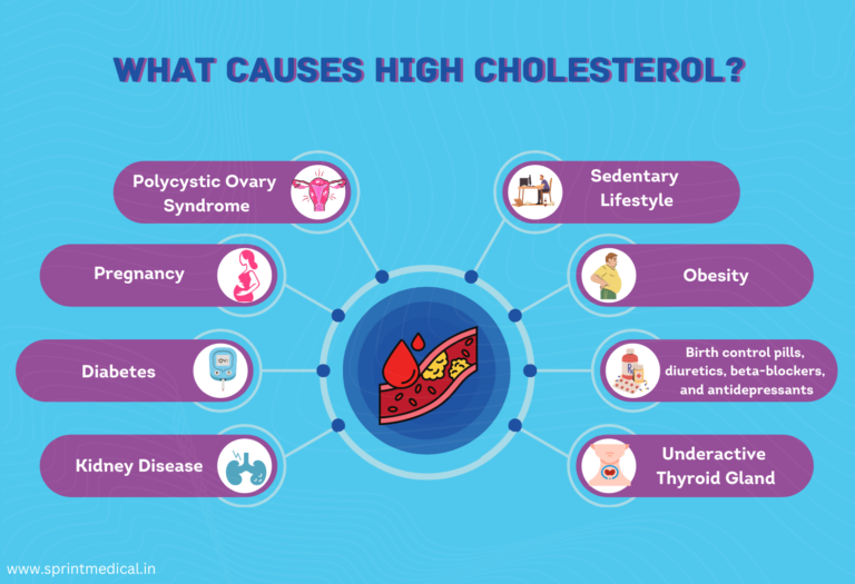 Homeopathic remedies for managing cholesterol levels.