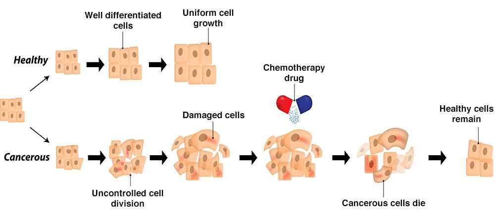 What is Chemotherapy