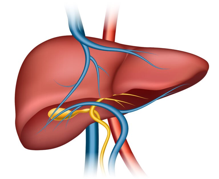 What is Fatty Liver?