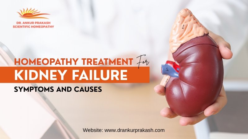 Homeopathy Treatment for Kidney Failure: Symptoms and Causes