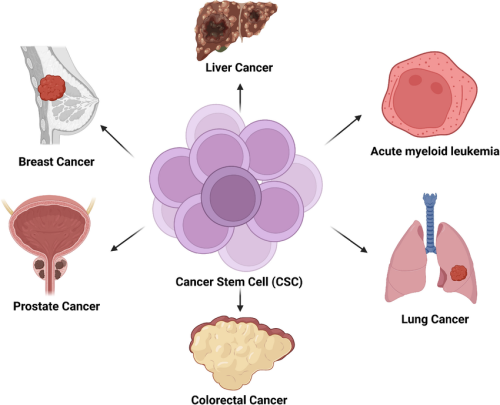 types of cancer